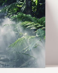 After Hover: Fog in the rainforest