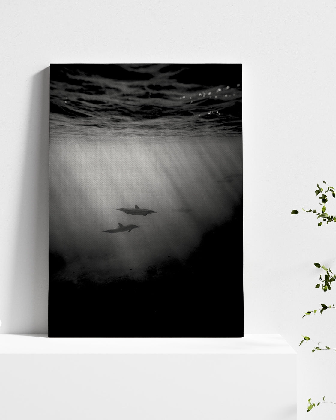 stretched-canvas