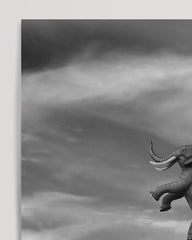 After Hover: Vintage Circus - Black and White