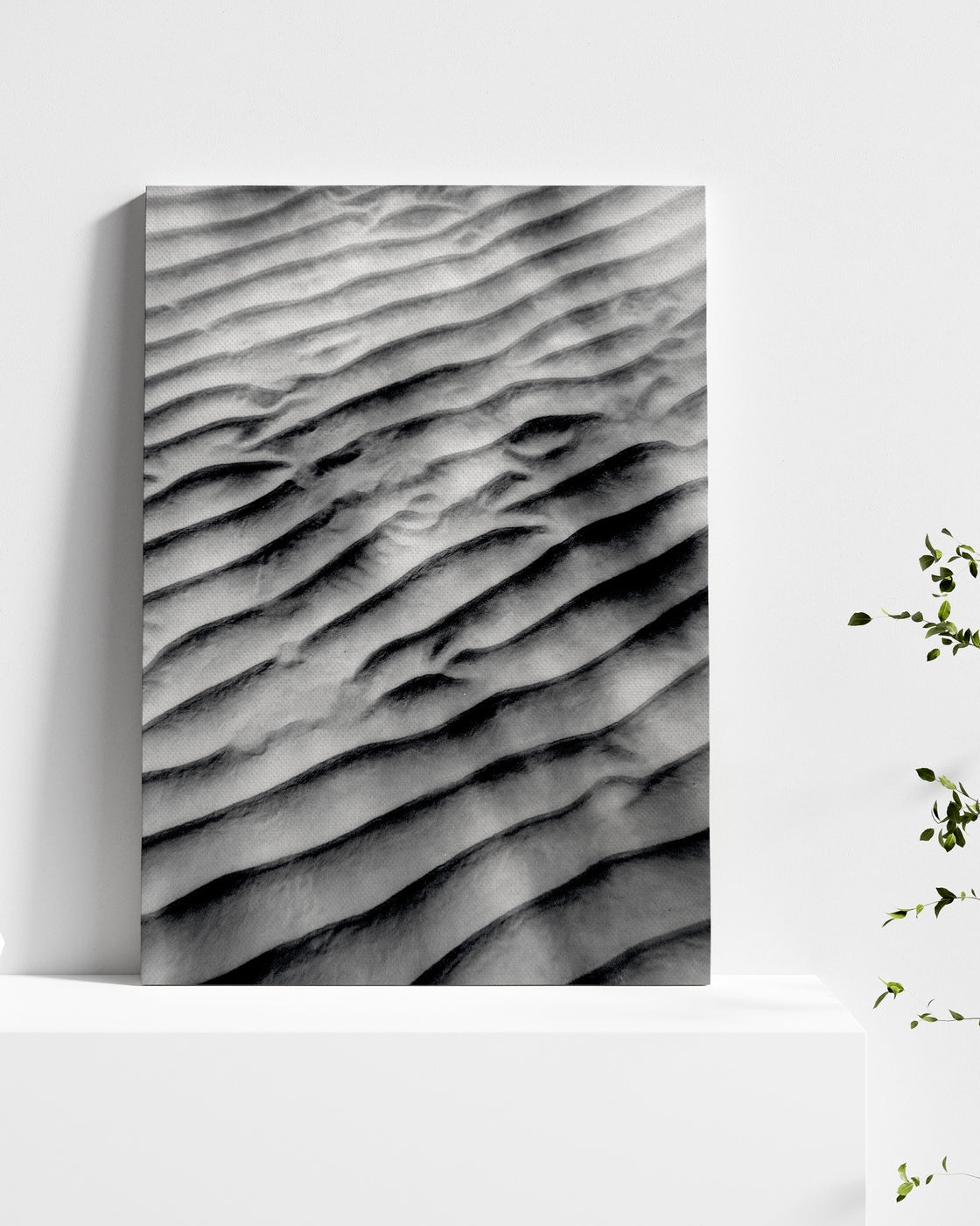 stretched-canvas