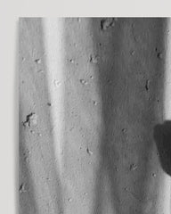 After Hover: Rose in the Shadows - Black and White