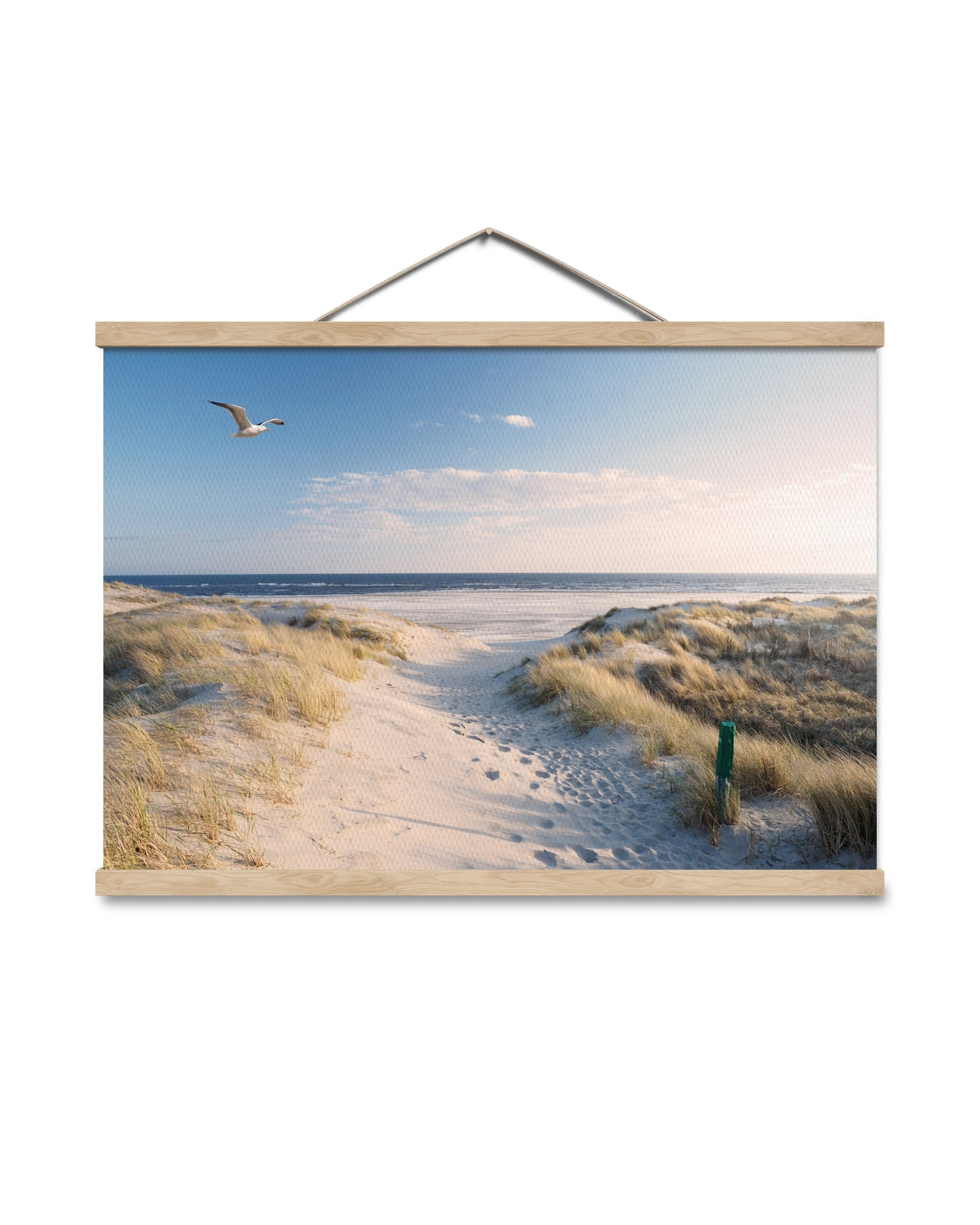 canvas