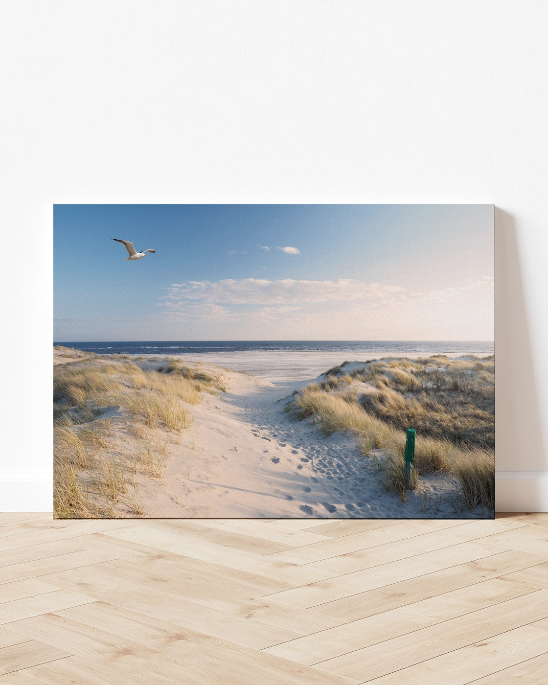 stretched-canvas
