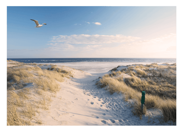 Nordsee-Strand