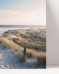 After Hover: North Sea beach