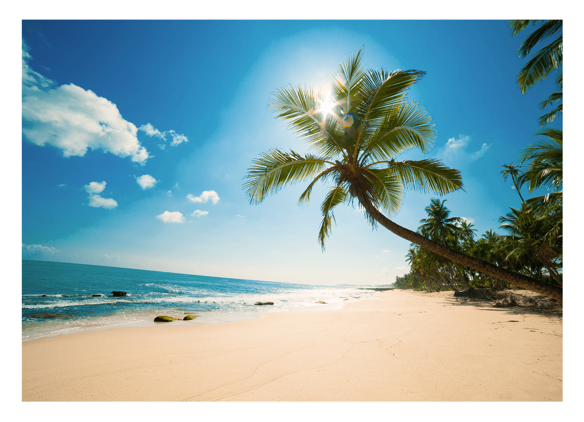 Strand mit Palmen