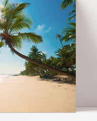 After Hover: beach with palm trees