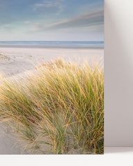 After Hover: Dunes by the water