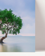After Hover: Tree in the water