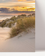 After Hover: dune beach
