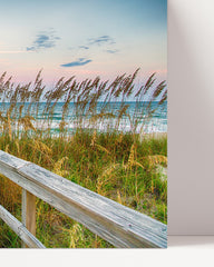 After Hover: Boardwalk to the beach