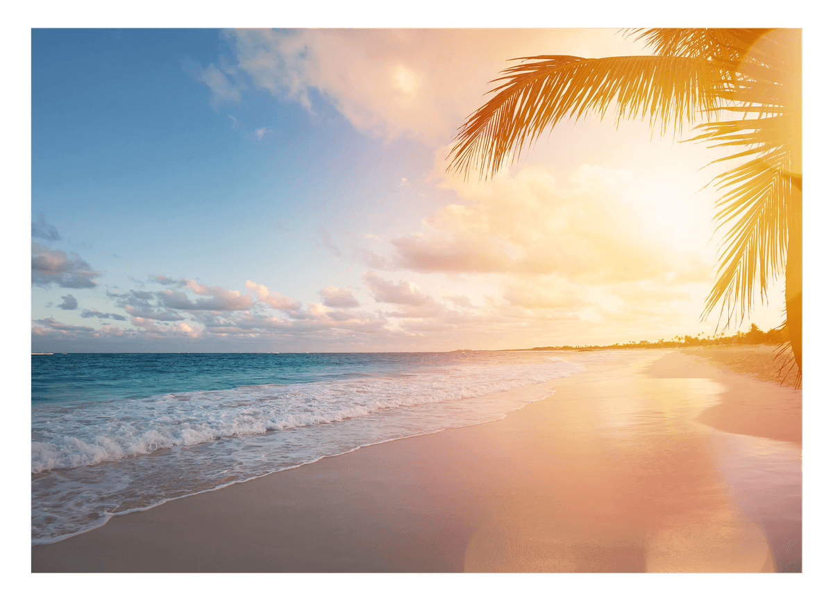 Palme am Strand
