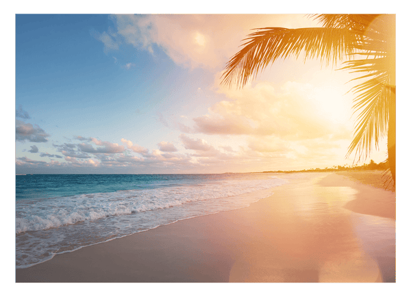 Palme am Strand