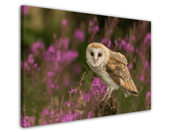Eule in Blumenlandschaft