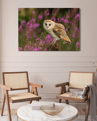 After Hover: Eule in Blumenlandschaft