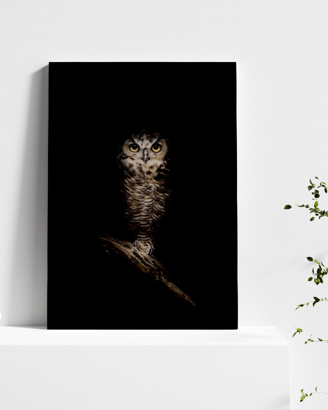 stretched-canvas