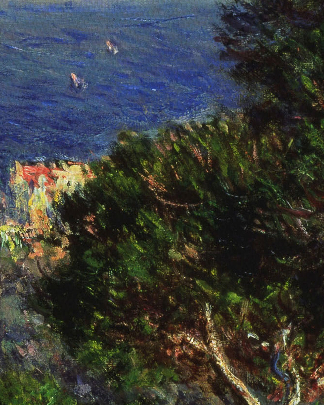 canvas