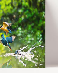 After Hover: Kingfishers on the hunt