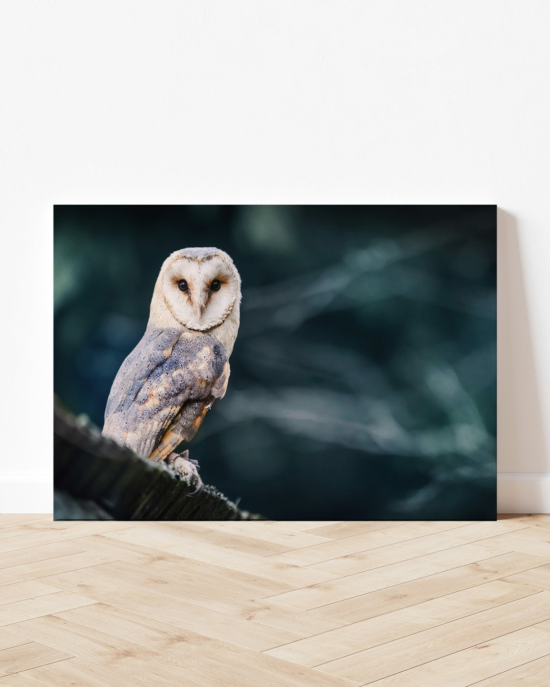 stretched-canvas