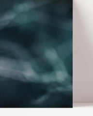 After Hover: Elegant Owl