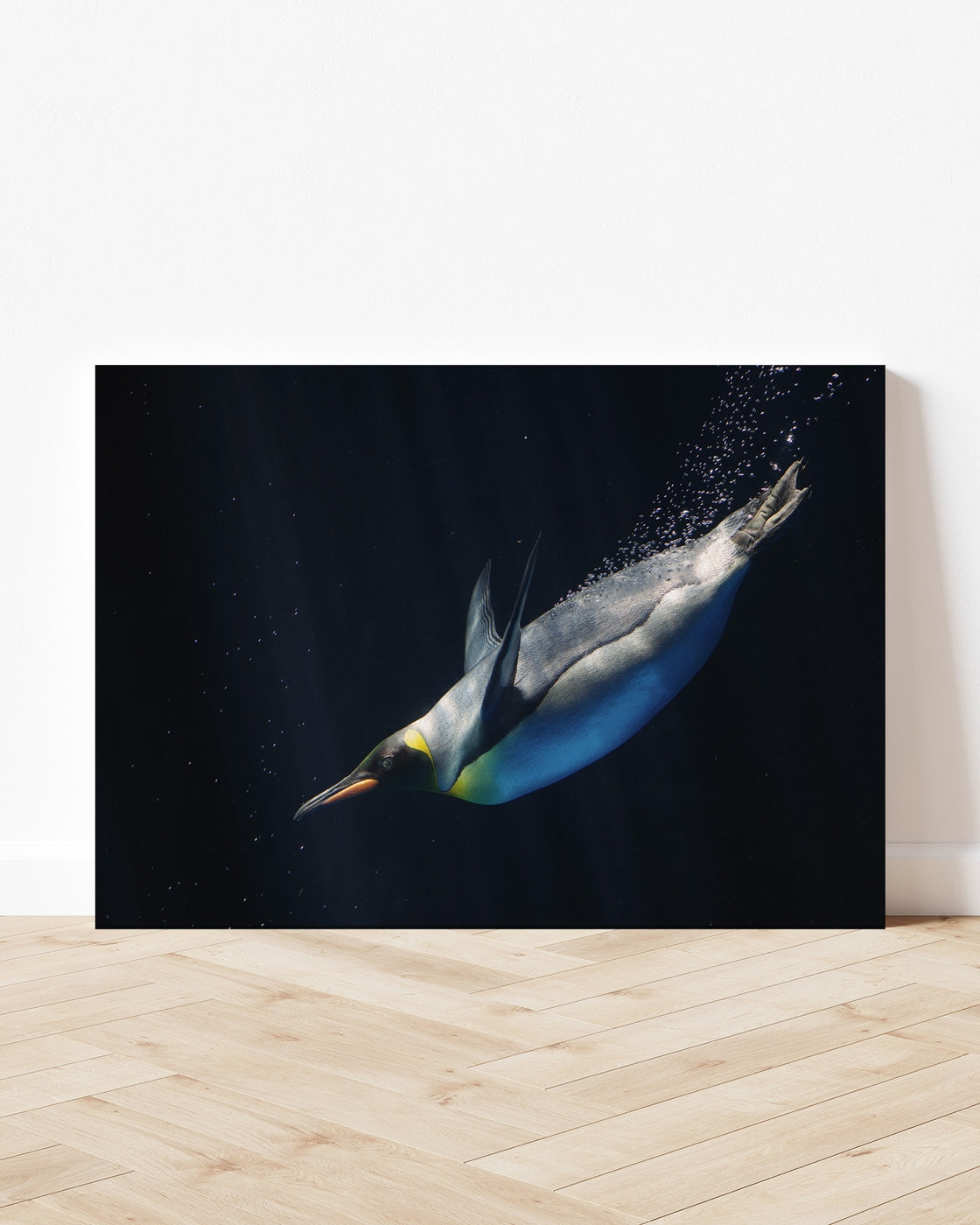 stretched-canvas