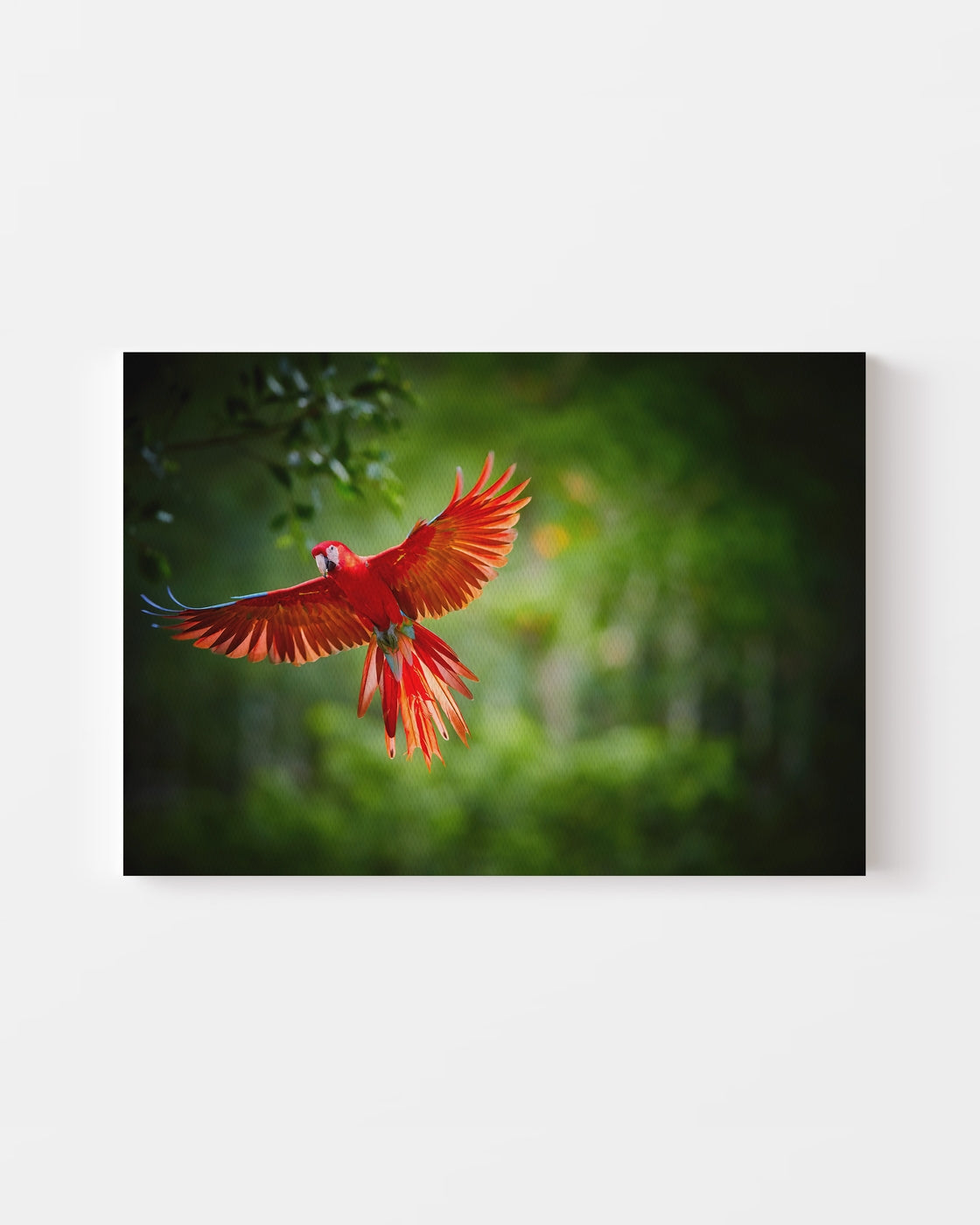 stretched-canvas