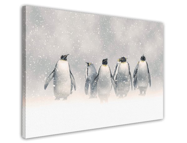 Pinguine im Schnee