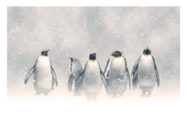 Pinguine im Schnee