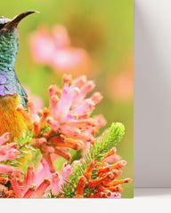 After Hover: Tropical bird in flowers