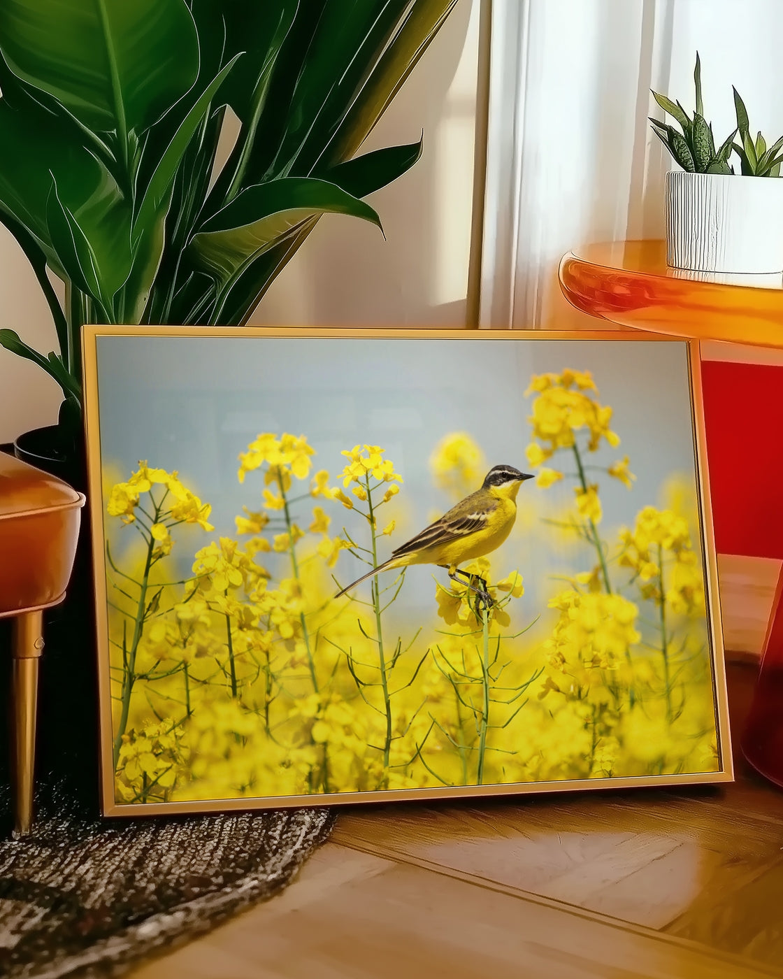 canvas