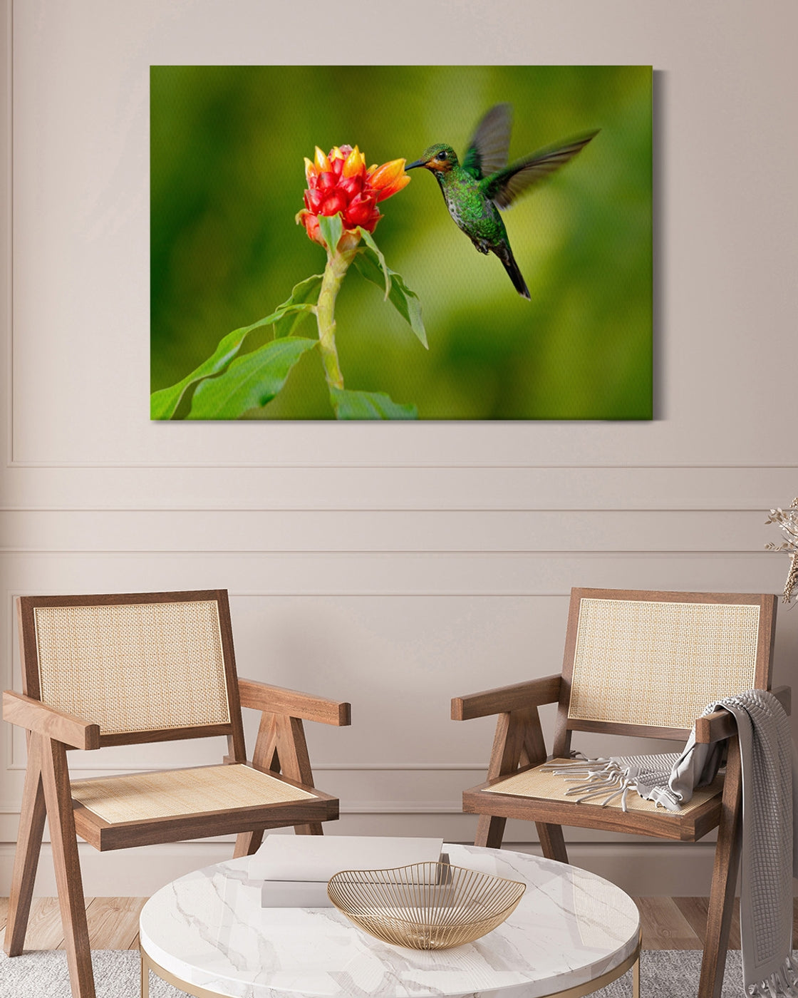 stretched-canvas