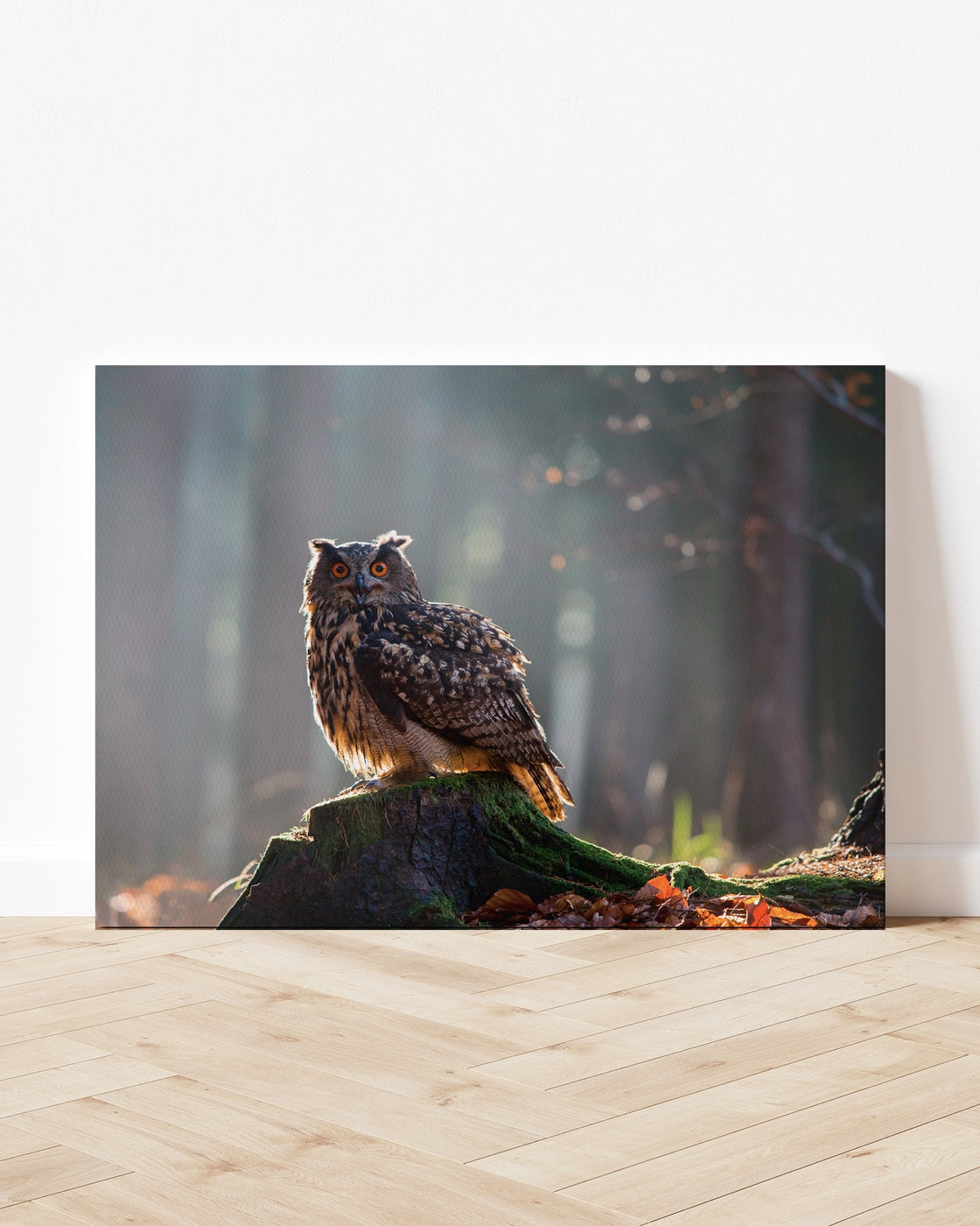 stretched-canvas