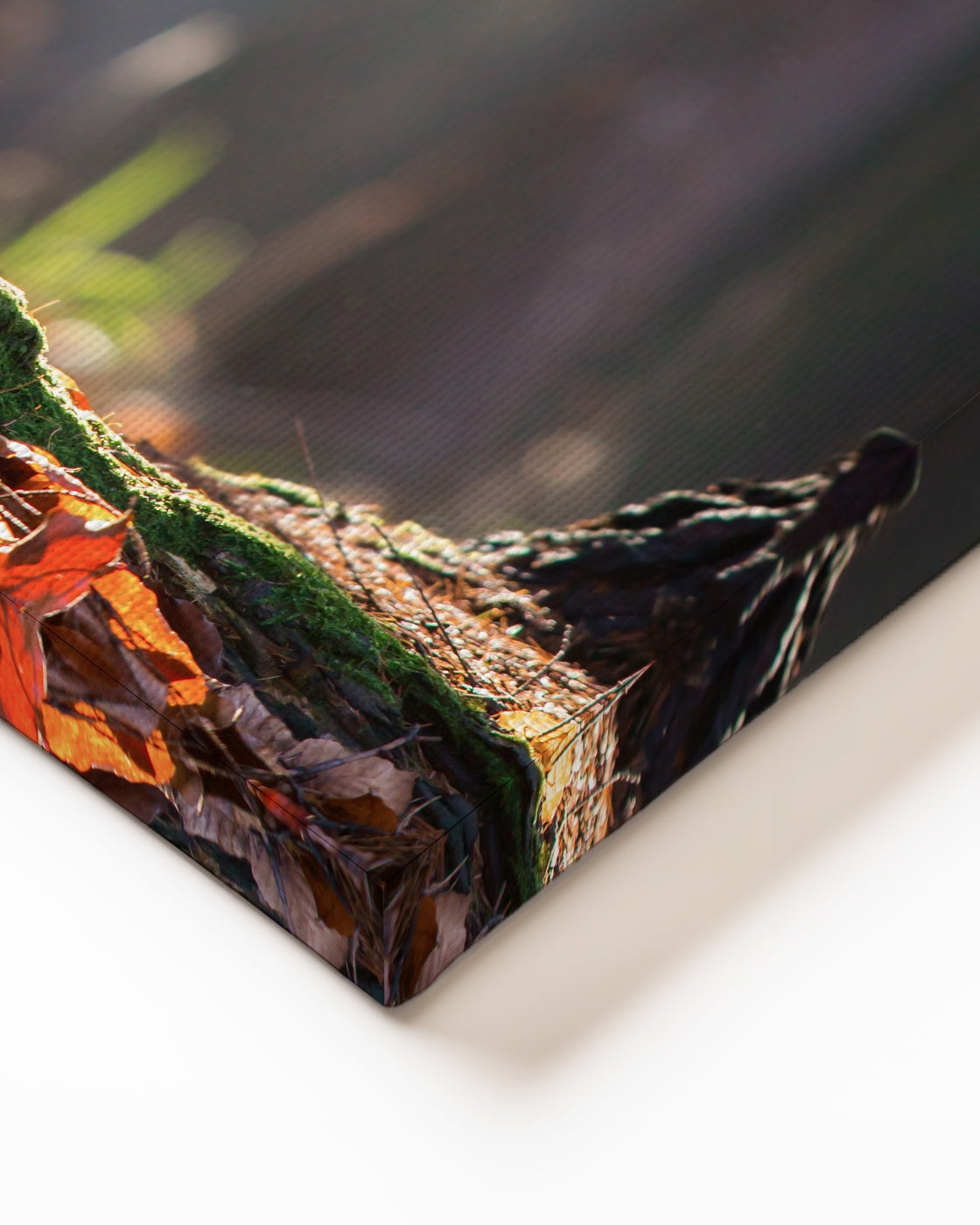 stretched-canvas