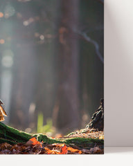 After Hover: Owl in the forest