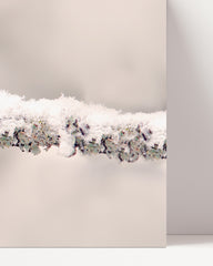 After Hover: Bird in winter landscape