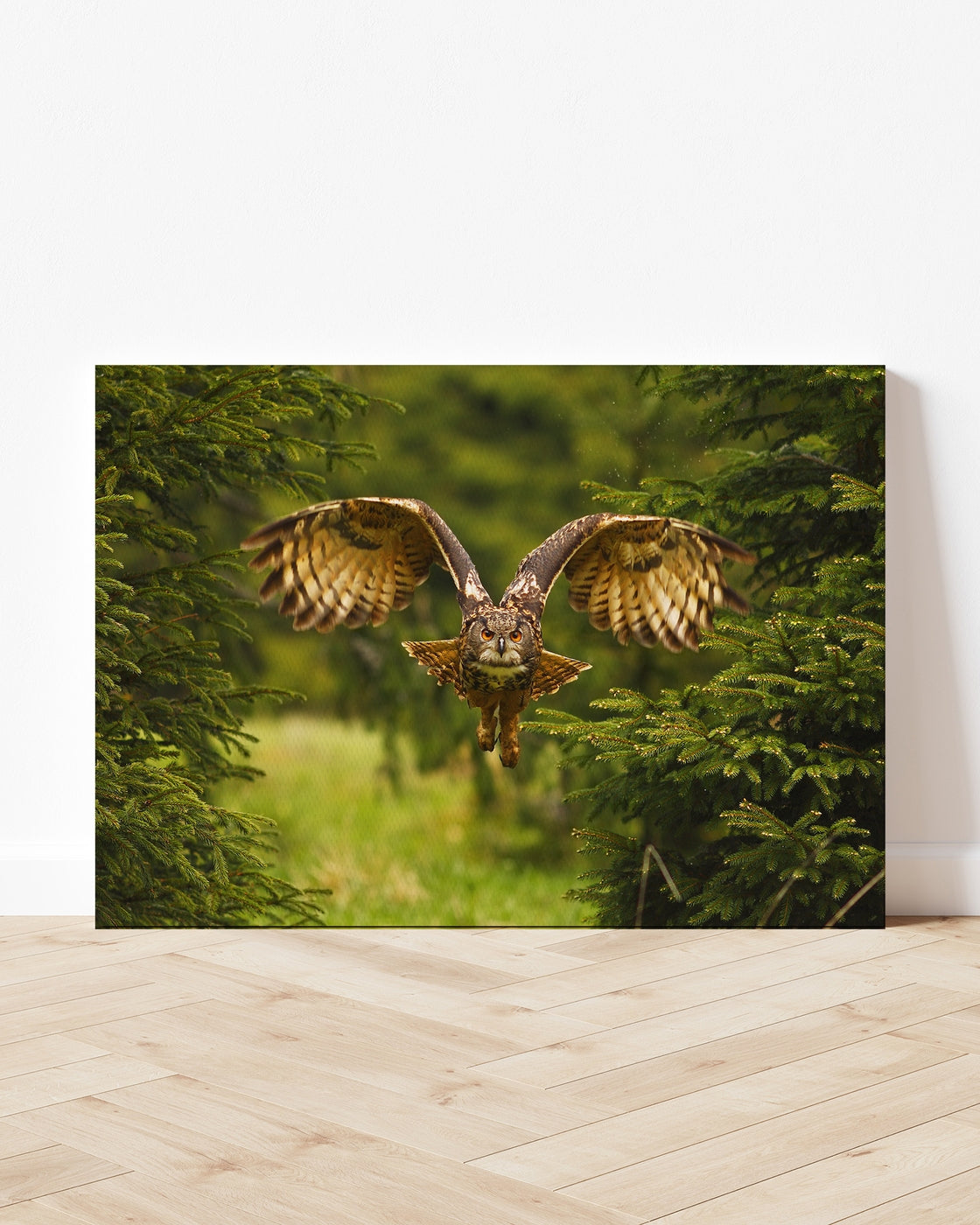 stretched-canvas