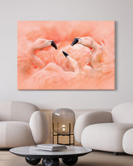 After Hover: Flamingos