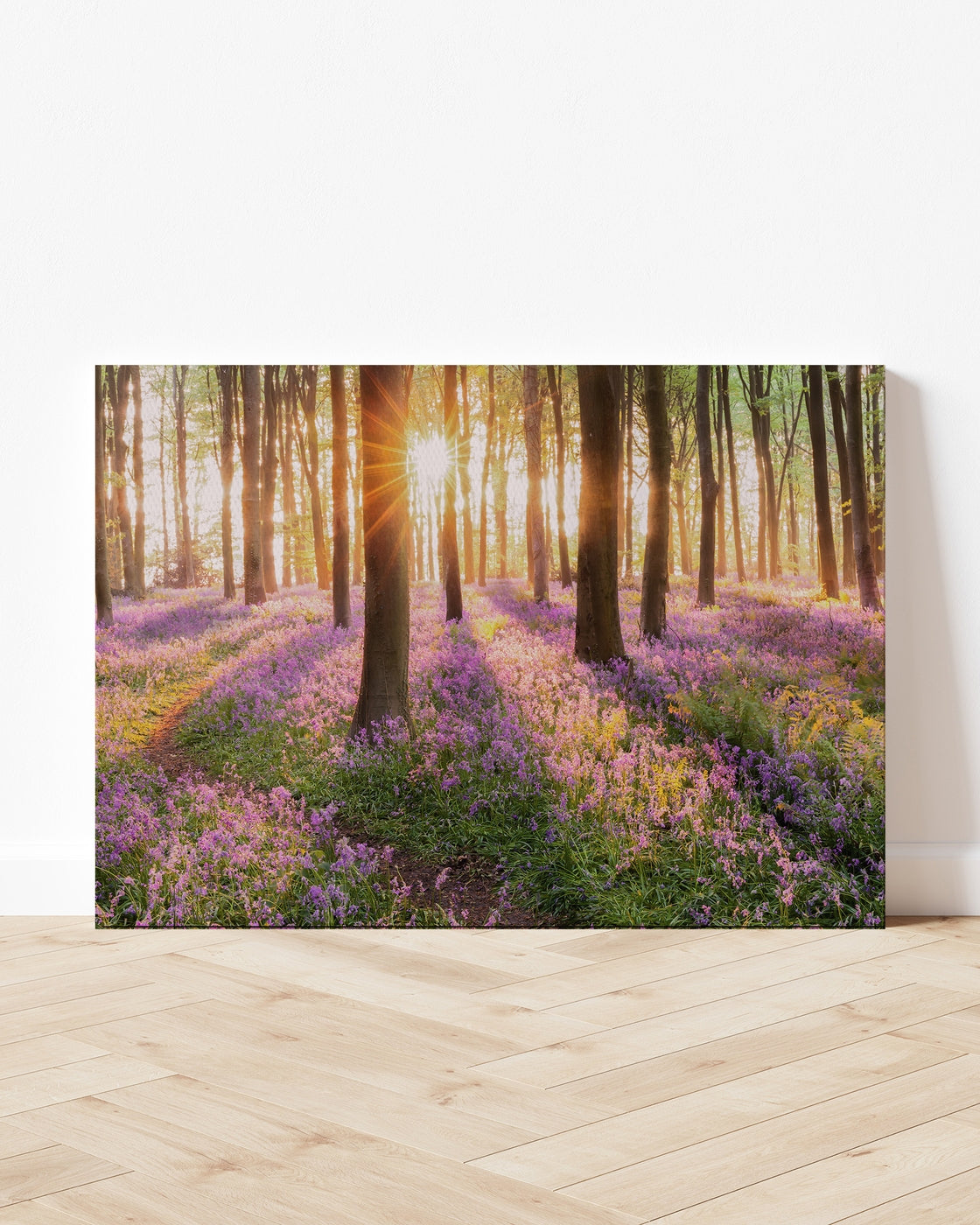 stretched-canvas