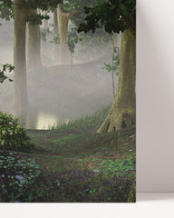 After Hover: Fog at the forest lake - a mystical natural spectacle