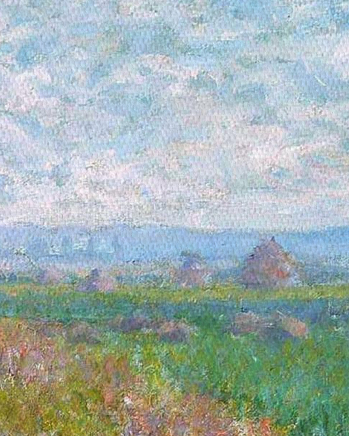 canvas