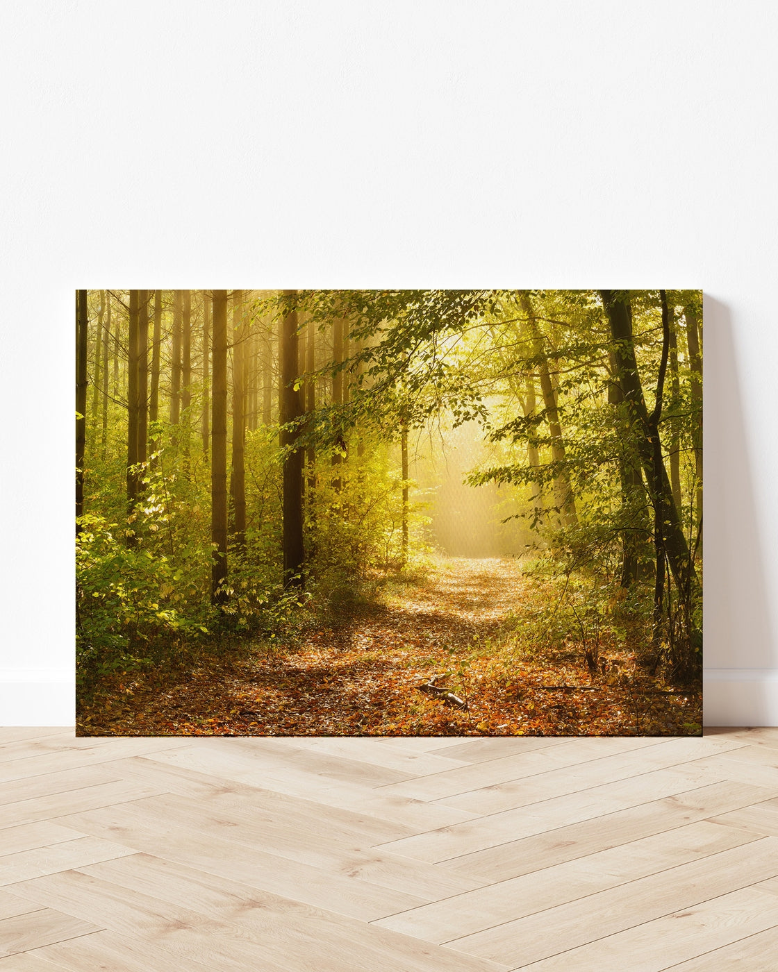 stretched-canvas