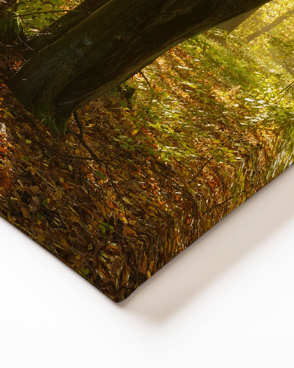 stretched-canvas