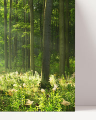 After Hover: Forest landscape