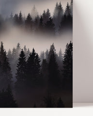After Hover: Fog in the forest - fir trees and treetops from above