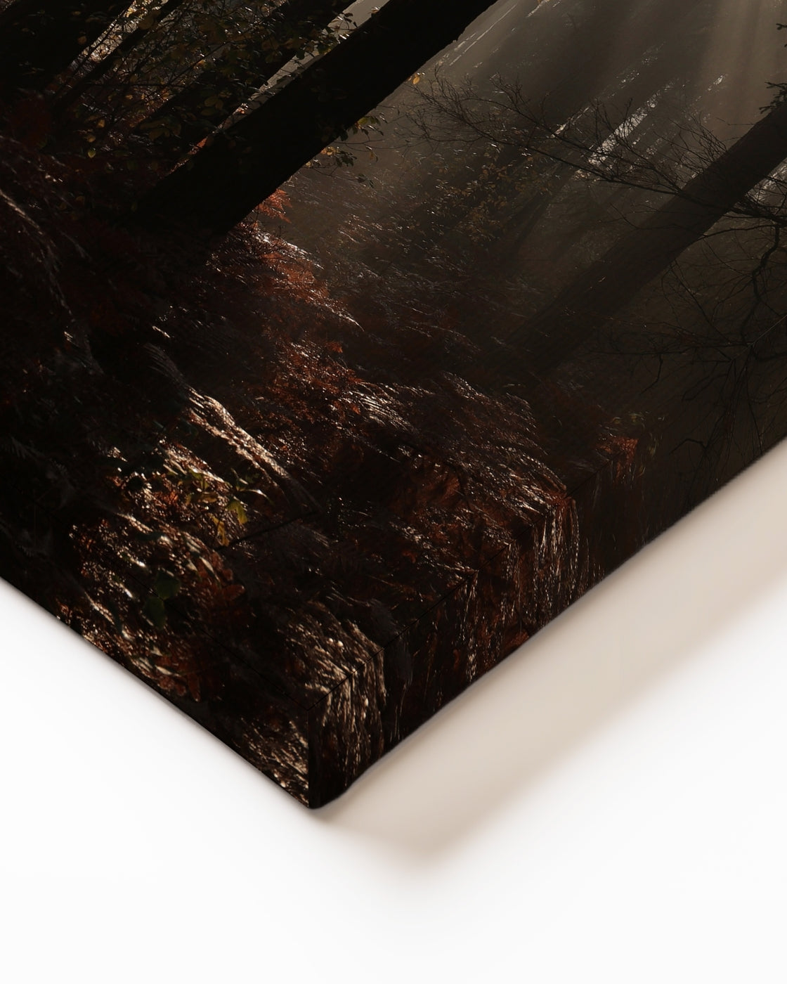 stretched-canvas