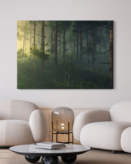 After Hover: Wald