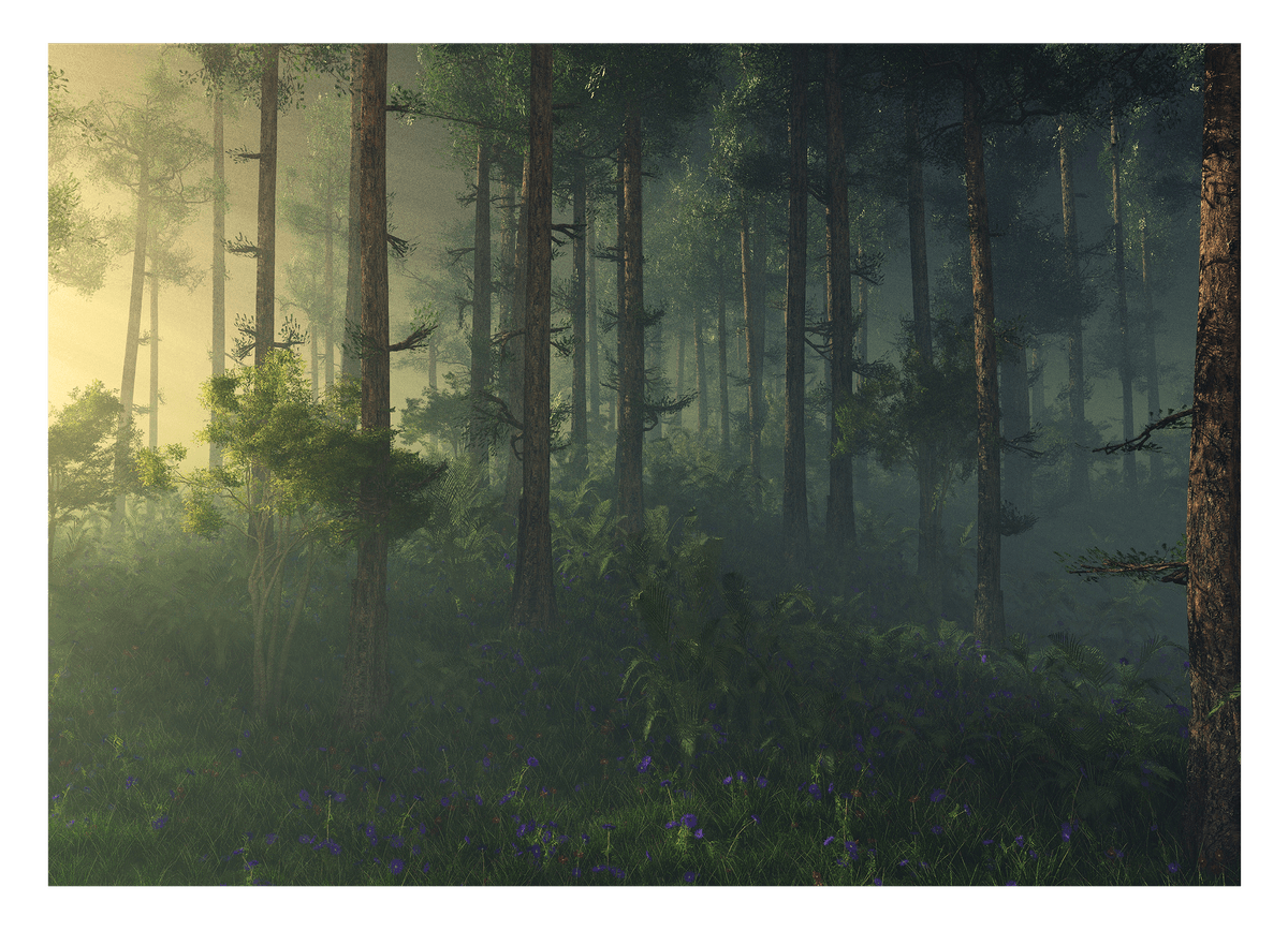 Wald