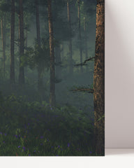 After Hover: Forest