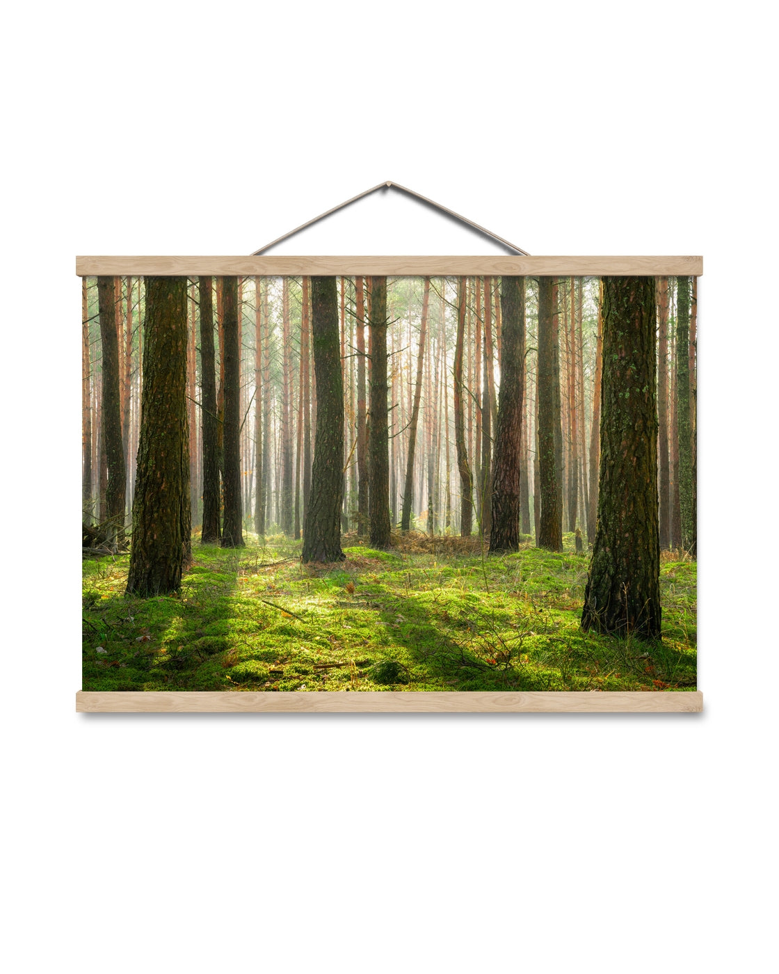 canvas