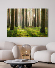 After Hover: Wald